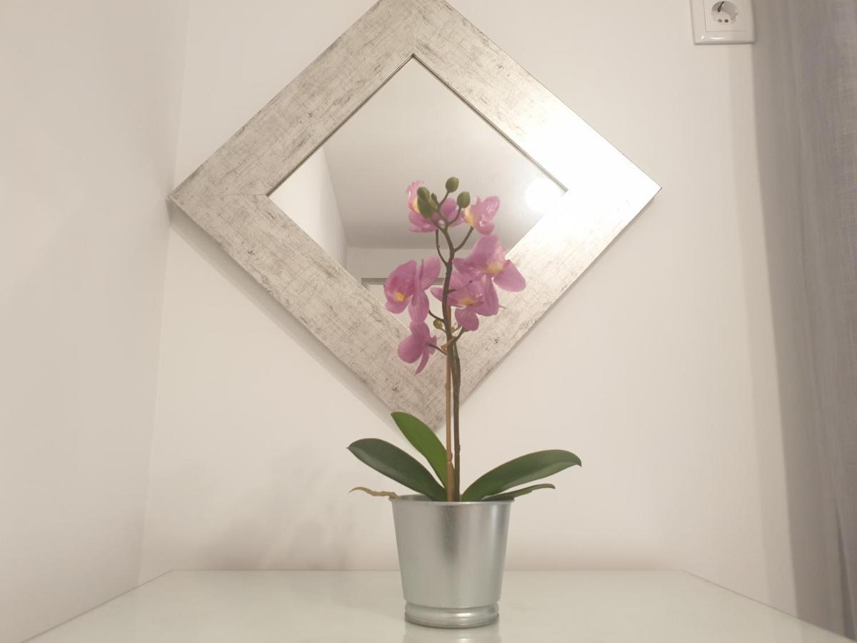 Dona Lola House Apartment